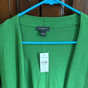Ann Taylor Vibrant Green Knit Sweater